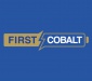 Auto Industry Entrepreneur and Design Icon Henrik Fisker Joins First Cobalt